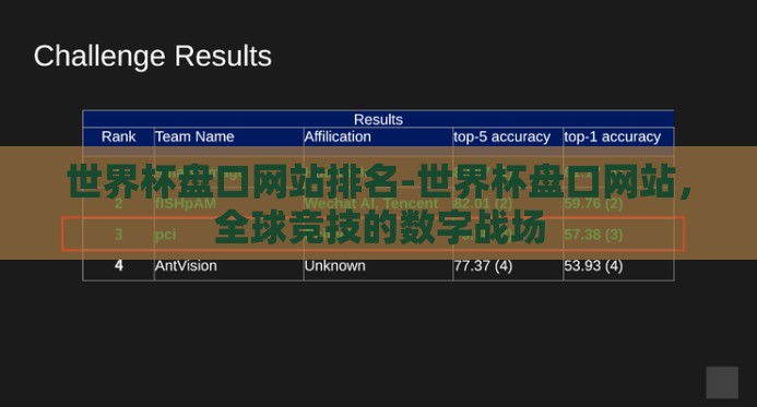 世界杯盘口网站排名-世界杯盘口网站，全球竞技的数字战场