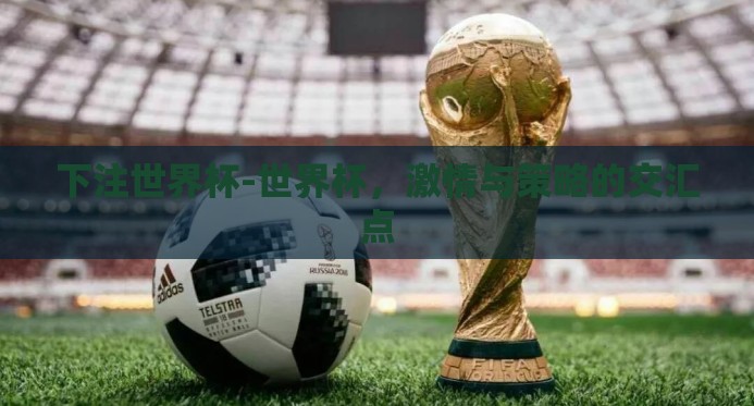 下注世界杯-世界杯，激情与策略的交汇点
