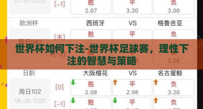世界杯如何下注-世界杯足球赛，理性下注的智慧与策略