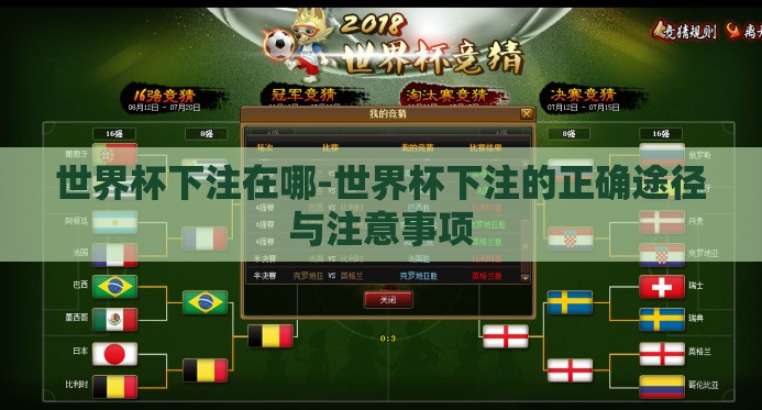世界杯下注在哪-世界杯下注的正确途径与注意事项